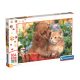 Puzzle, cica és kutya, 104 db-os, maxi, 40x27 cm dob.