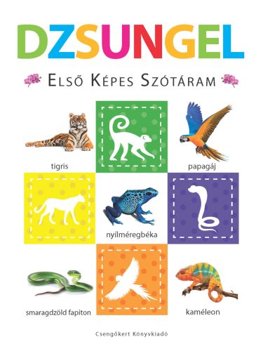 Dzsungel - Elsõ képes szótáram - Szivacskönyv